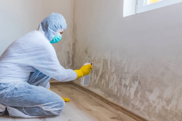 Bathroom Mold Removal assessment in Lewisville bathroom